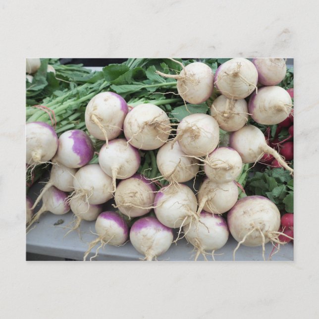 Turnip Pile Postkarte (Vorderseite)