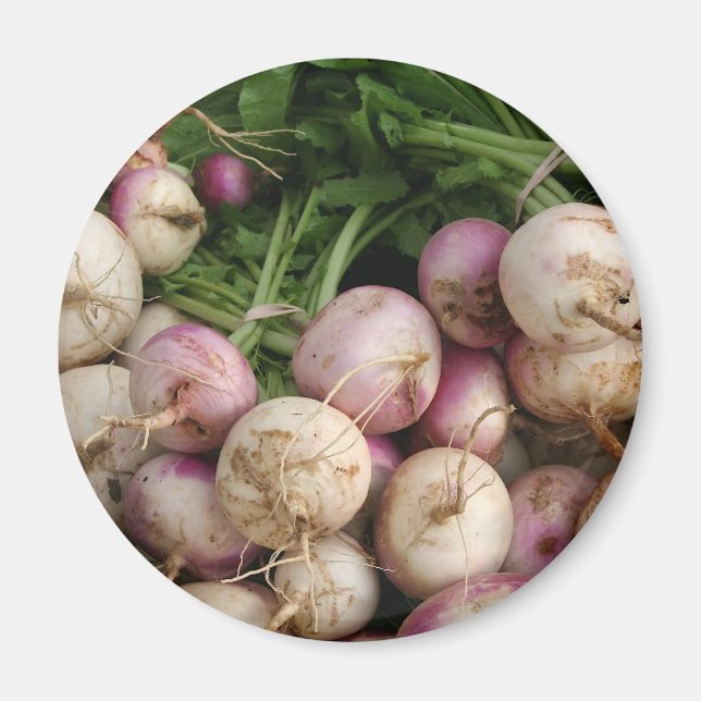 Turnips Magnet (Vorne)