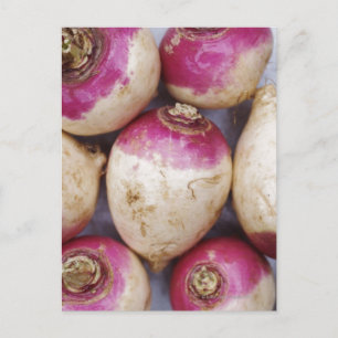 Turnips Postkarte