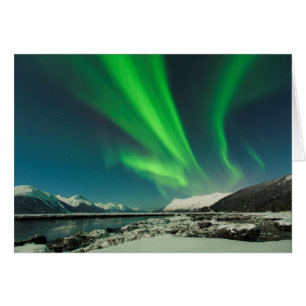 Turnonce Arm Aurora
