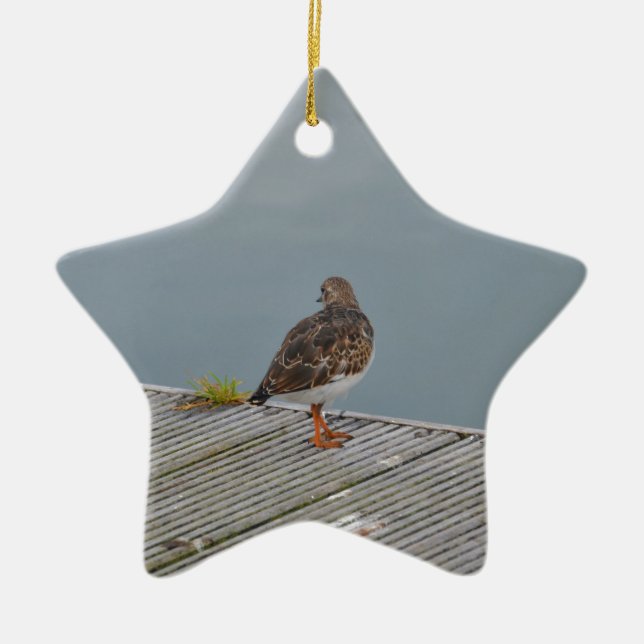 Turnstone Keramik Ornament (Vorne)