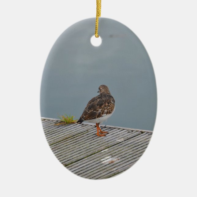 Turnstone Keramik Ornament (Vorne)