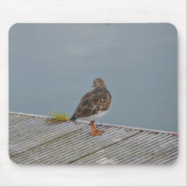 Turnstone Mousepad