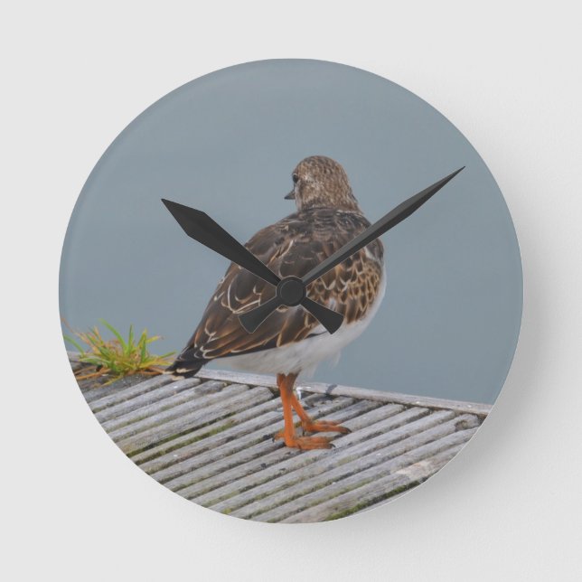 Turnstone Runde Wanduhr (Vorderseite)