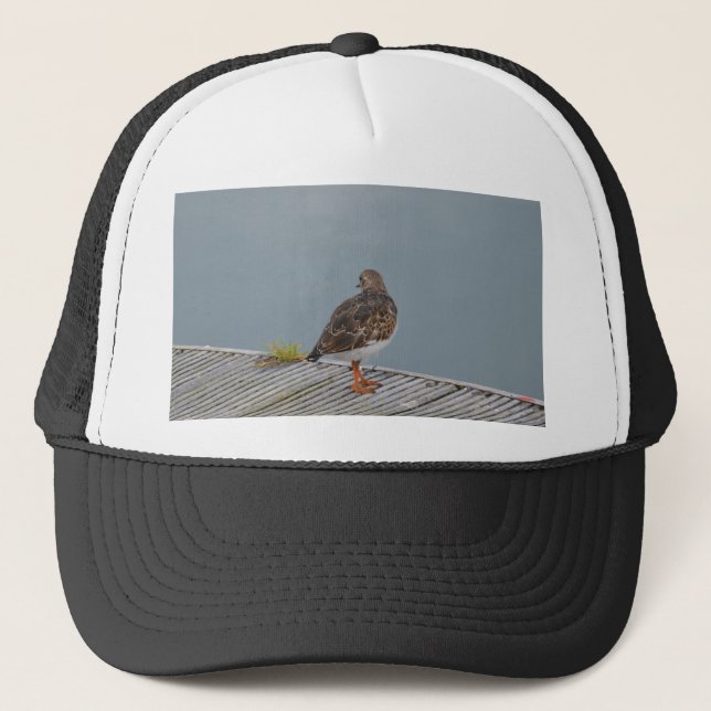 Turnstone Truckerkappe (Vorderseite)