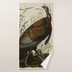 Turquie sauvage (mâle) des oiseaux d'Amérique d'Au