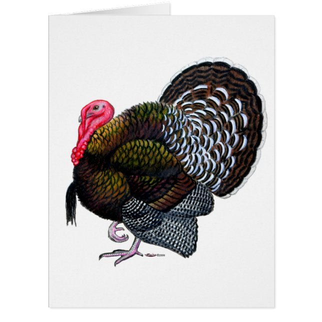 Turquie : Tom en bronze (Devant)