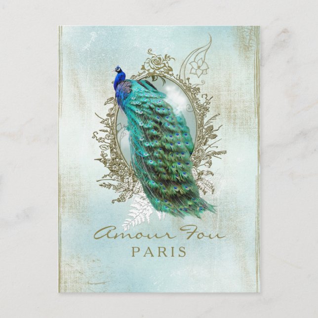 Turquoise Shabby Peacock - Carte Postale (Devant)