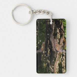 Turteltaube Schlüsselanhänger