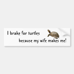 turtle1, bremse ich für Schildkröten, weil meine Autoaufkleber