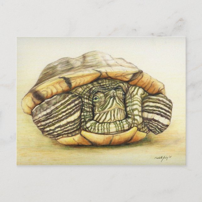 "Turtle" Art Reproduction Postcard Postkarte (Vorderseite)