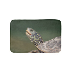 Turtle auf dem LaChute River Badematte
