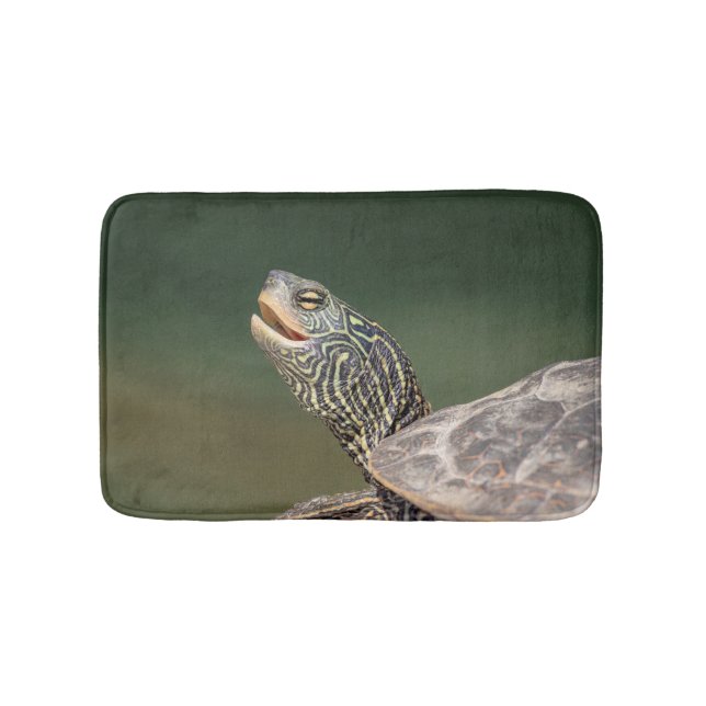 Turtle auf dem LaChute River Badematte (Vorderseite)