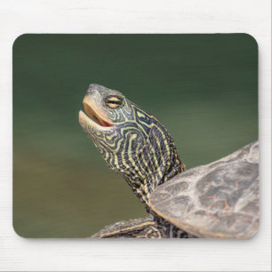Turtle auf dem LaChute River Mousepad