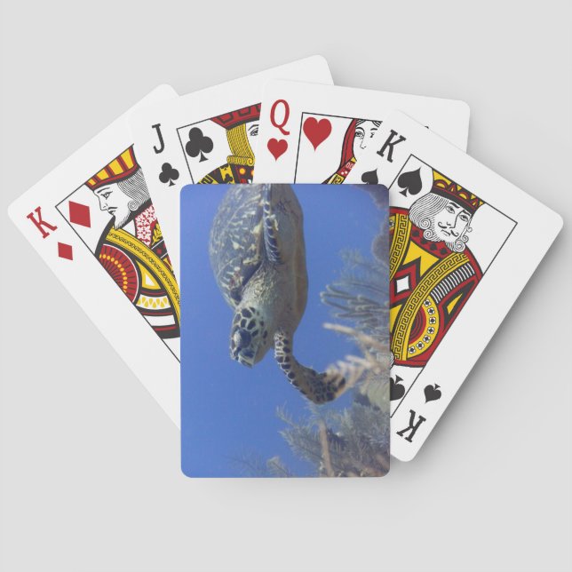 Turtle Bicycle Poker Deck Spielkarten (Rückseite)