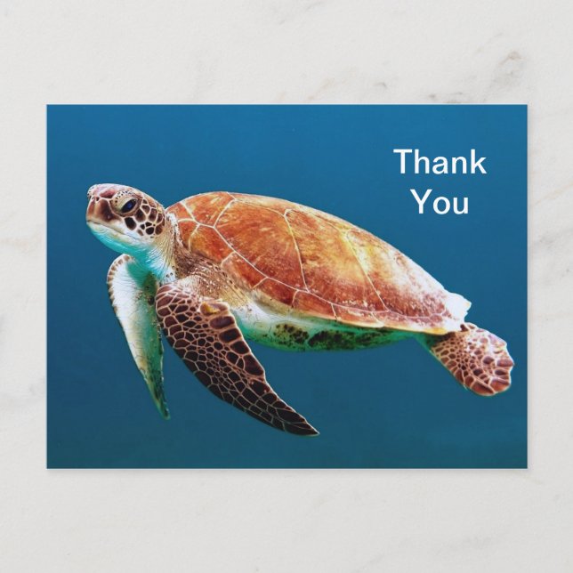 Turtle Blue Water Sea Foto Vielen Dank Postkarte (Vorderseite)
