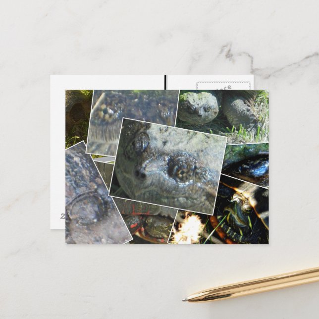 Turtle Collage Postkarte (Vorderseite/Rückseite Beispiel)
