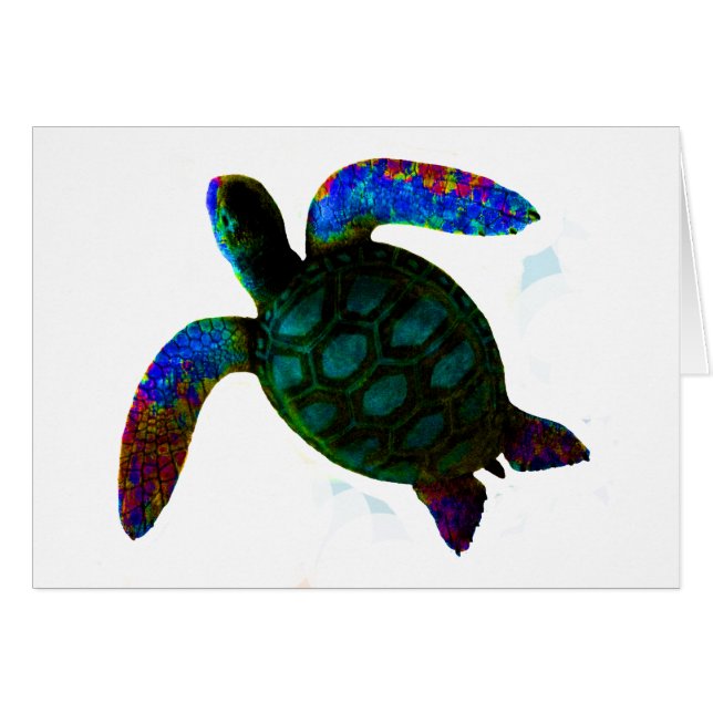 Turtle Cyan Das MUSEUM Zazzle Geschenke (Vorderseite (Horizontal))