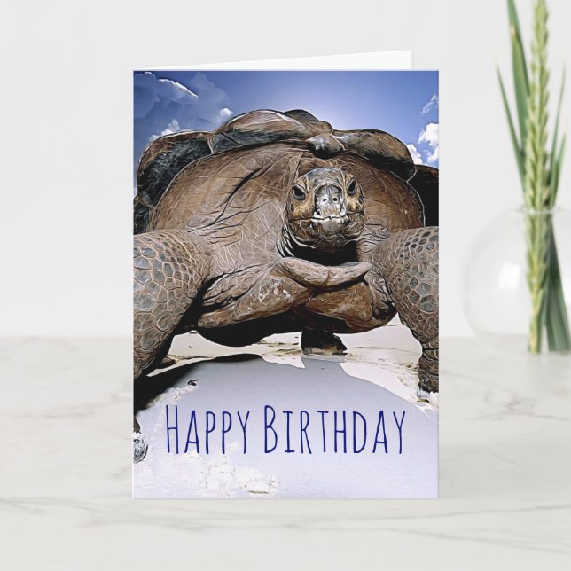Turtle Happy Birthday Grußkarte Karte (Vorderseite)