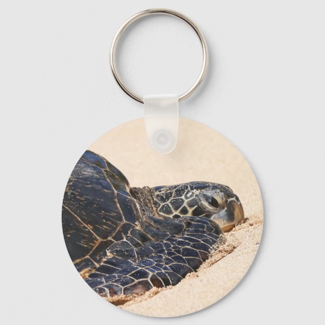 Turtle Key-Kette aus Maui Schlüsselanhänger (Vorderseite)