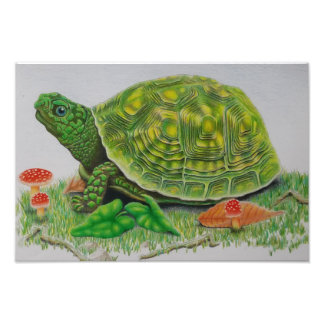 "Turtle Liebe" Originalposter von Baylen Parada (b Fotodruck