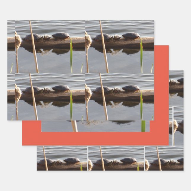 Turtle Lover Wrapping Paper Flat Shts Set of 3 Geschenkpapier Set (Set)