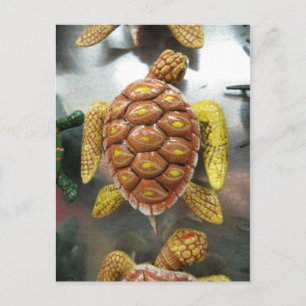 Turtle Magnet Postkarte