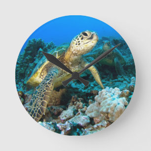 Turtle Pair Runde Wanduhr