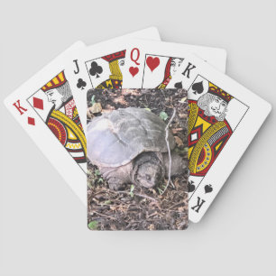 Turtle Playing Cards Spielkarten