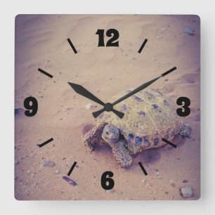 Turtle Quadratische Wanduhr