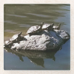 Turtle Rock Glasuntersetzer
