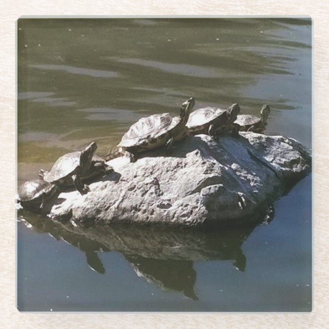 Turtle Rock Glasuntersetzer (Vorderseite)