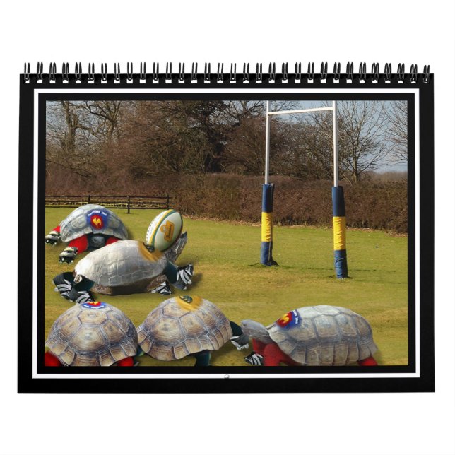 Turtle Rugby Kalender (Titelbild)