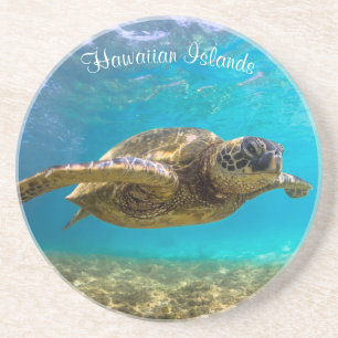 Turtle Sandstone Untersetzer