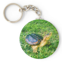 Turtle-Schlüsselanhänger Nr. 3