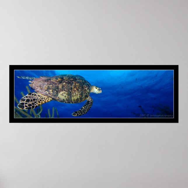 Turtle Seascape Poster (Vorne)