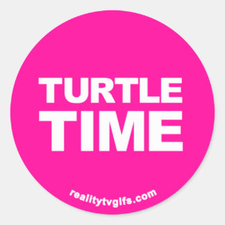 Turtle Time - Stickers