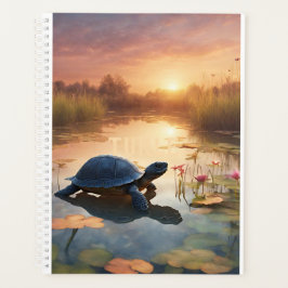 Turtles Glide Gracevoll Planer