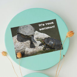 Turtles on Rock Foto Funny Birthday Karte