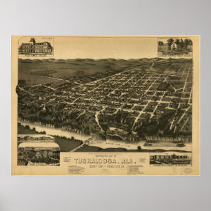 Tuscaloosa Alabama 1887 Panoramakarte Poster