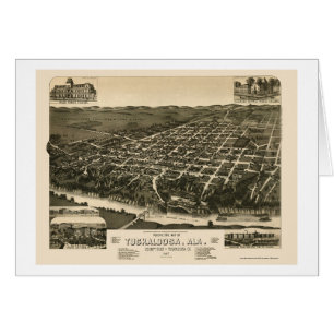 Tuscaloosa, carte panoramique d'AL - 1887