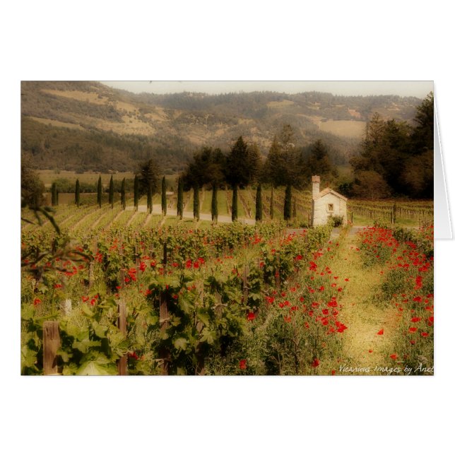 Tuscan Dream Card (Vorderseite (Horizontal))