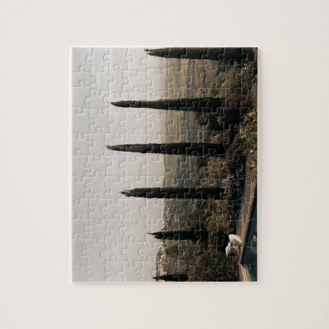 Tuscan landscape hidden behind cypresses (2024) (Vertikal)