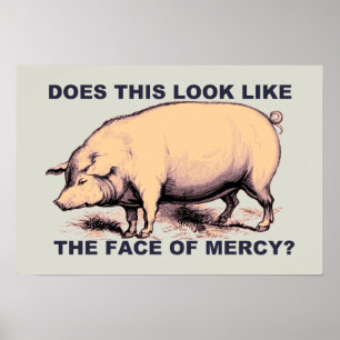 Tut dieses aussehen wie das Gesicht der Gnade?  Poster