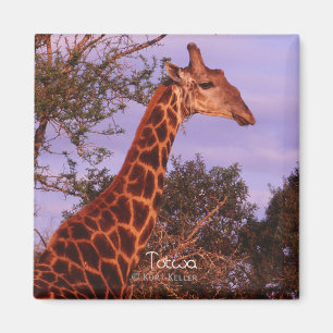Tutwa, girafe en langue Setswana, Magnet