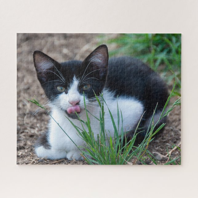 Tuxedo (Horizontal)