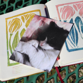 Tuxedo Cat Art Niedlich Pink Nose Kitts Kunst, Dic Postkarte