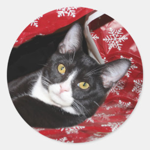 Tuxedo Cat Christmas Runder Aufkleber