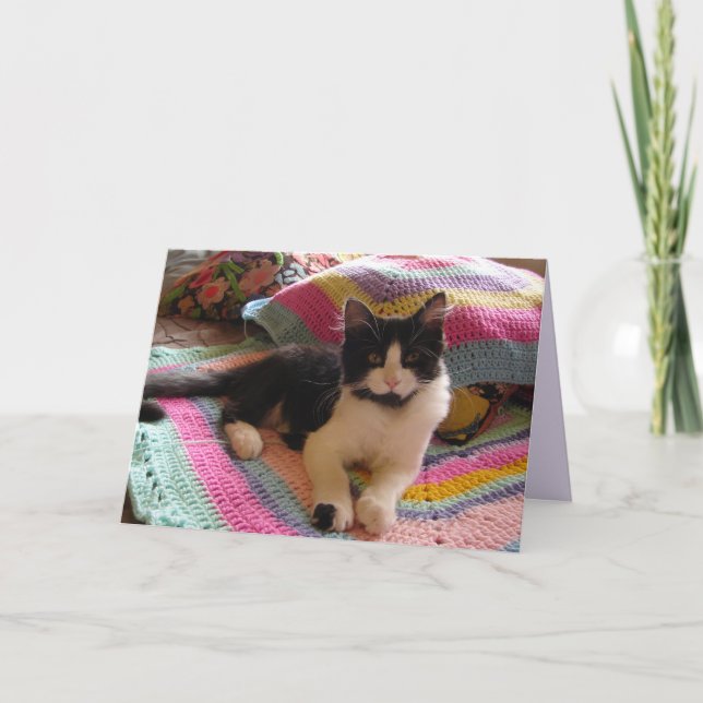 Tuxedo Cat Cute avec jolie carte de tapis Crochet (Devant)
