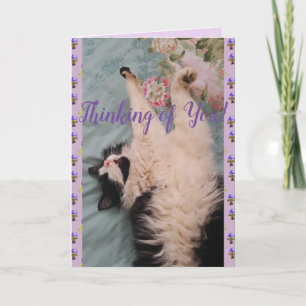 Tuxedo Cat Cute Funny Penser à votre carte